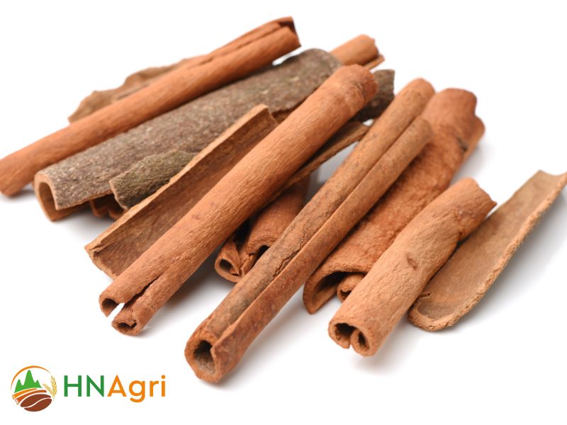 hanoi-cinnamon-a-leading-cinnamon-exporter-in-the-world-1