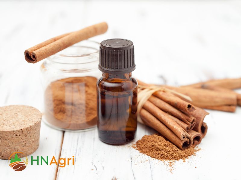 spice-up-your-business-exploring-the-benefits-of-cinnamon-powder-wholesale-1